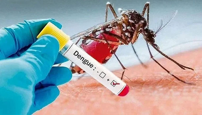 ১৩ দিনে ডেঙ্গুতে ২০ জনের মৃত্যু