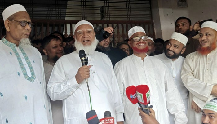 বিদ্যুৎ যায় না, মাঝে মাঝে আসে : জামায়াত আমির