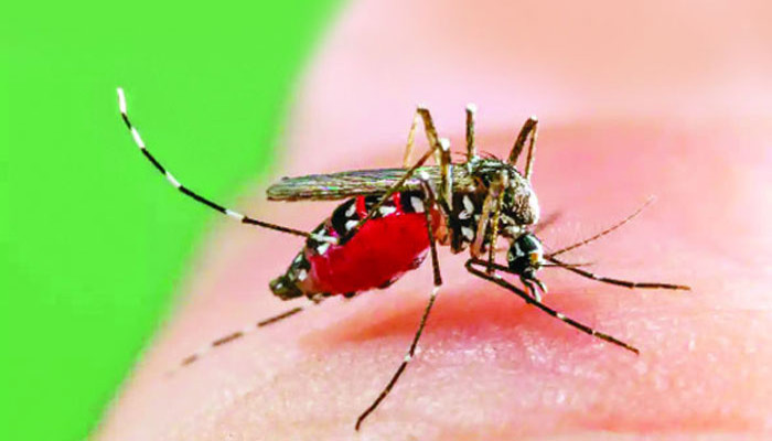ডেঙ্গুতে একদিনে ৩ জনের মৃত্যু