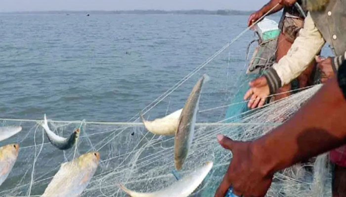 ইলিশ ধরায় ২২ দিনের নিষেধাজ্ঞা