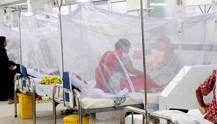 ডেঙ্গুতে এক সপ্তাহে ১৯ মৃত্যু
