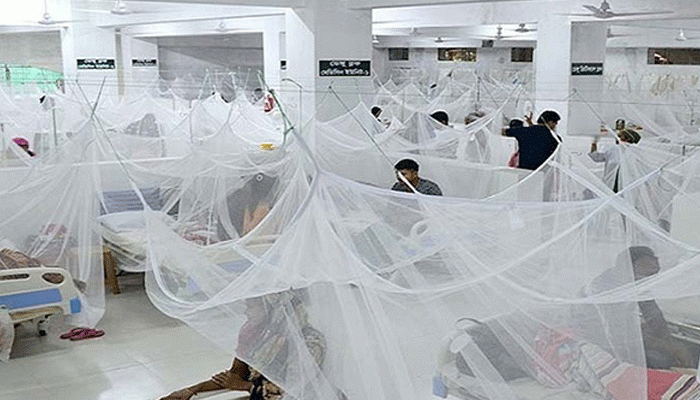 ডেঙ্গু : একদিনে আরও ৬ মৃত্যু, হাসপাতালে ১২৯৭